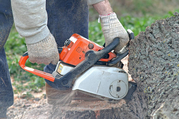 Best Soil Testing and Treatment  in Sumner, WA